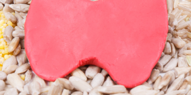 Thyroid Nutrition