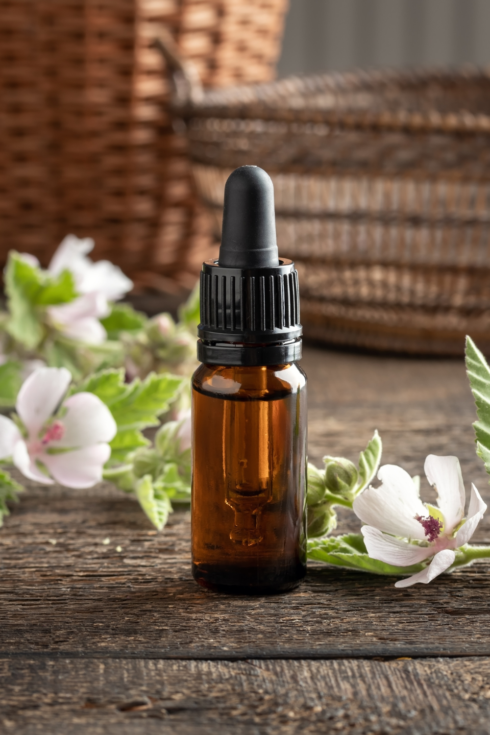 Herbal Medicine Tincture